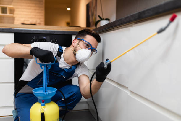 Best Wasp Removal Services  in Andover, KS