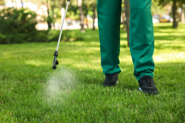 Best Pest Removal Services  in Andover, KS