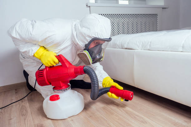 Best Pest Inspection Near Me  in Andover, KS