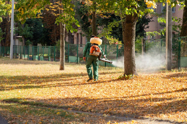 Best Pest Control Treatment  in Andover, KS