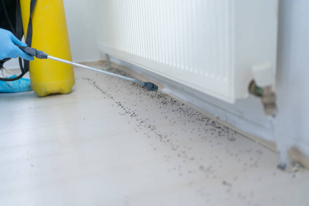 Best Pest Control Near Me  in Andover, KS