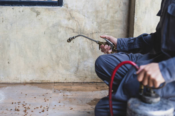 Best Best Pest Control Companies  in Andover, KS